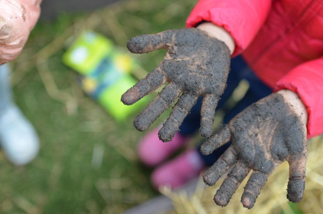 Potager permaculture école
